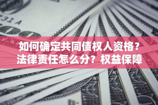 北京如何确定共同债权人资格？法律责任怎么分？权益保障技巧揭秘！