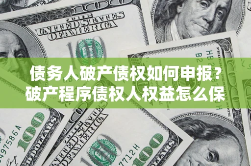 北京债务人破产债权如何申报？破产程序债权人权益怎么保障？