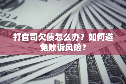 北京打官司欠债怎么办？如何避免败诉风险？