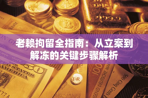北京老赖拘留全指南：从立案到解冻的关键步骤解析