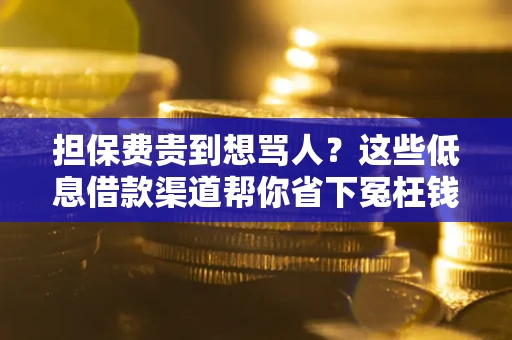 北京担保费贵到想骂人？这些低息借款渠道帮你省下冤枉钱